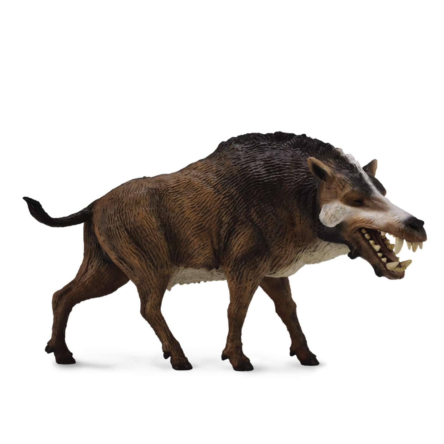 Collecta 88723 Daeodon 1:20 Dinosaur