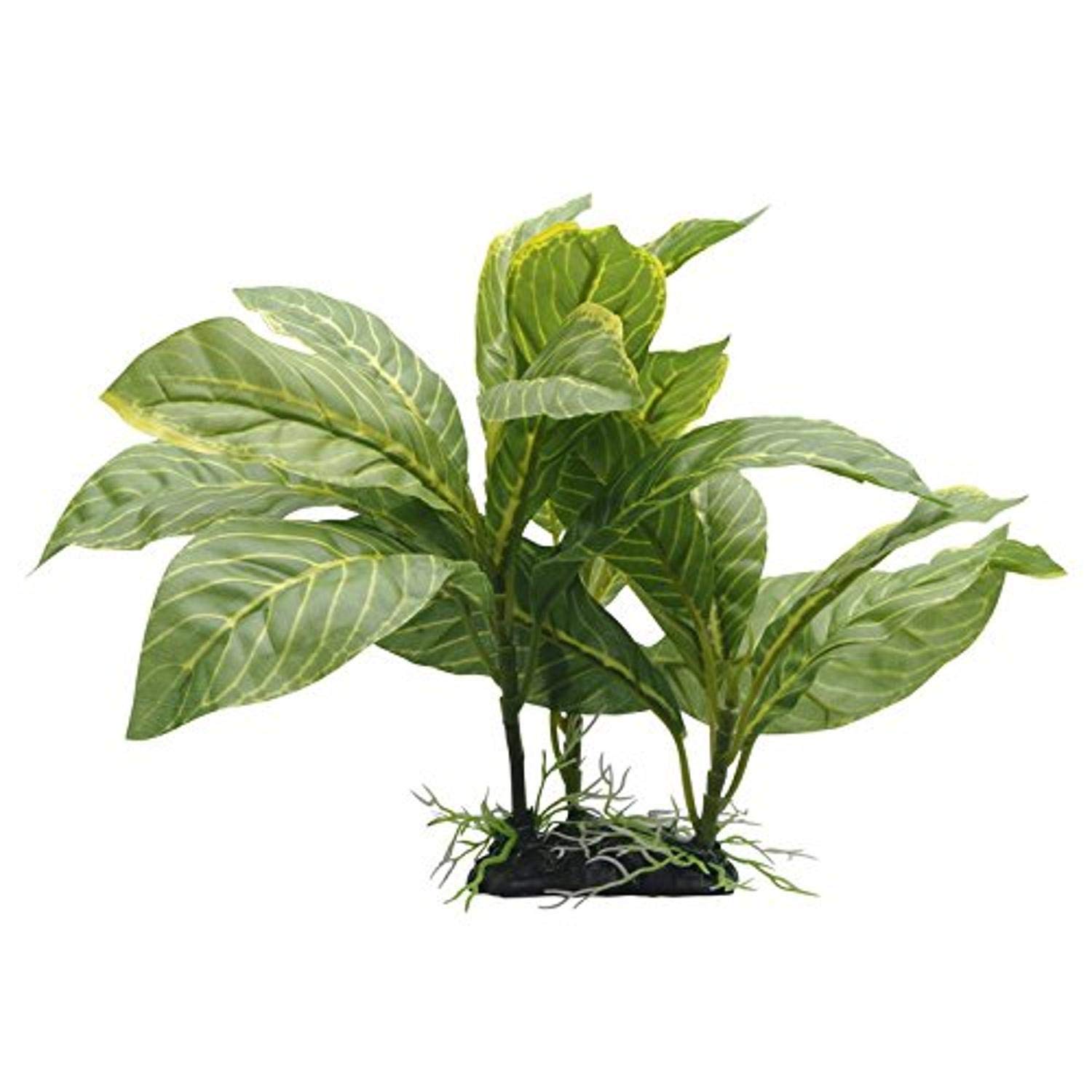 Hagen Fluval Yellow Stripe Spathiphyllum Plant for Aquarium, 9-Inch