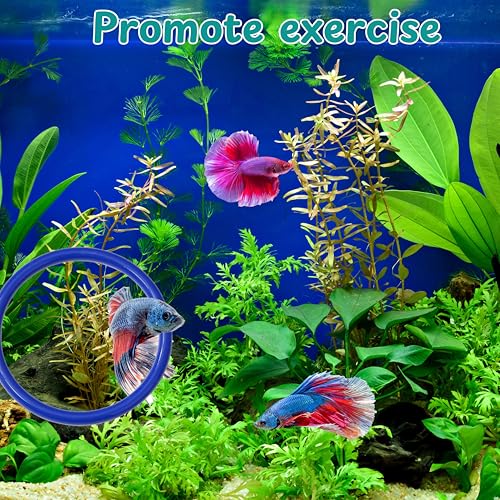 Image of Betta Fish Enrichment Toys Ring and Mirror , Floating Exercise Mirrors And Training Ring, Floating Mirrors Aquarium With Feeding Rings, Fish Toys, Betta Fish Tank Accessories (Blue+Mirror, 6.4cm)