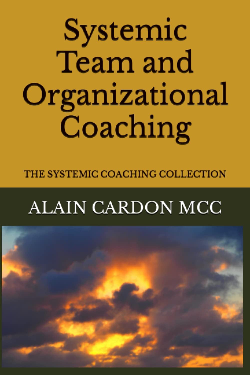 Systemic Team and Organizational Coaching: THE SYSTEMIC COACHING COLLECTION
