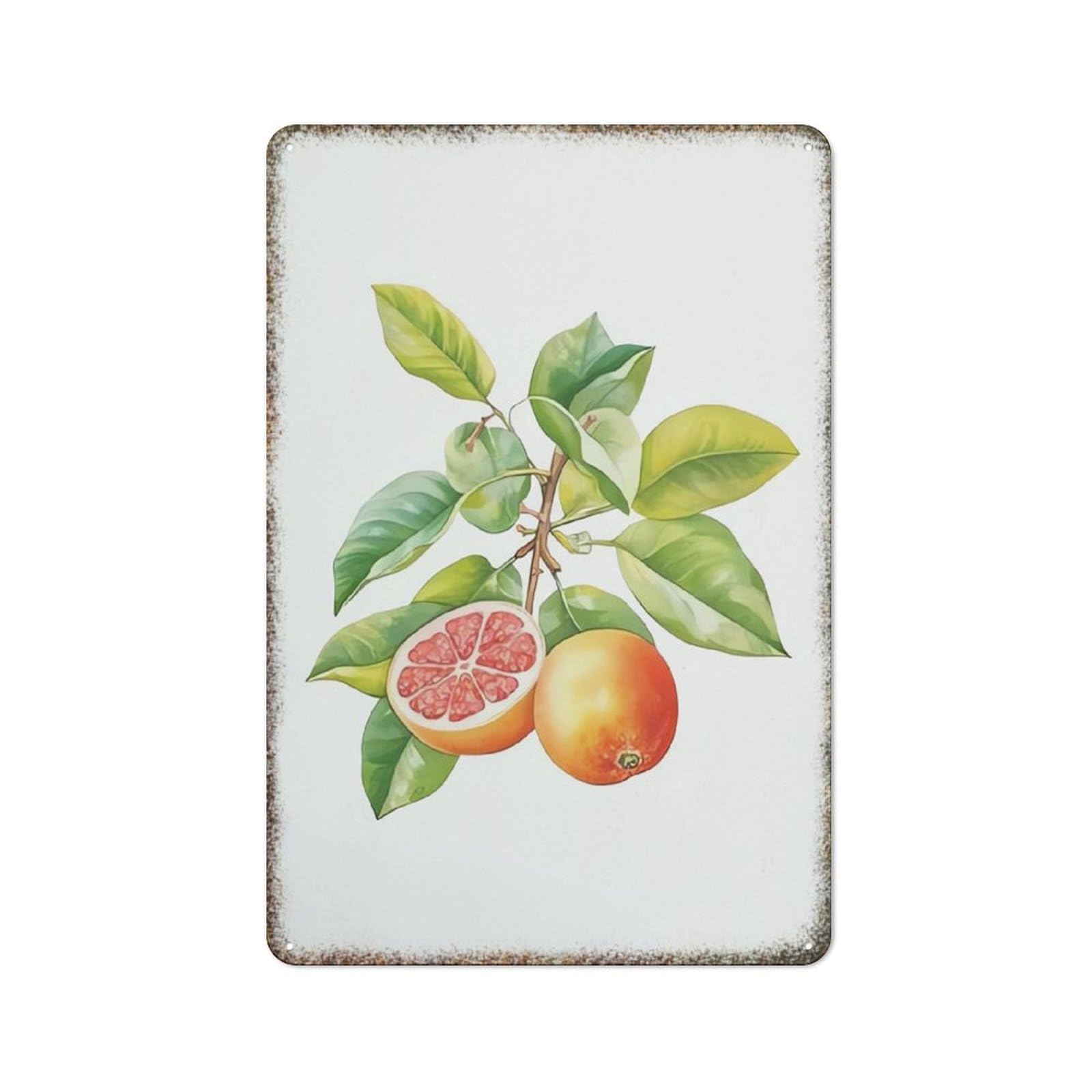Fresh Grapefruit Fruit Watercolor Metal Painting Home Kitchen Artistic Fashionable Retro Wall Decor 8x12 Inch