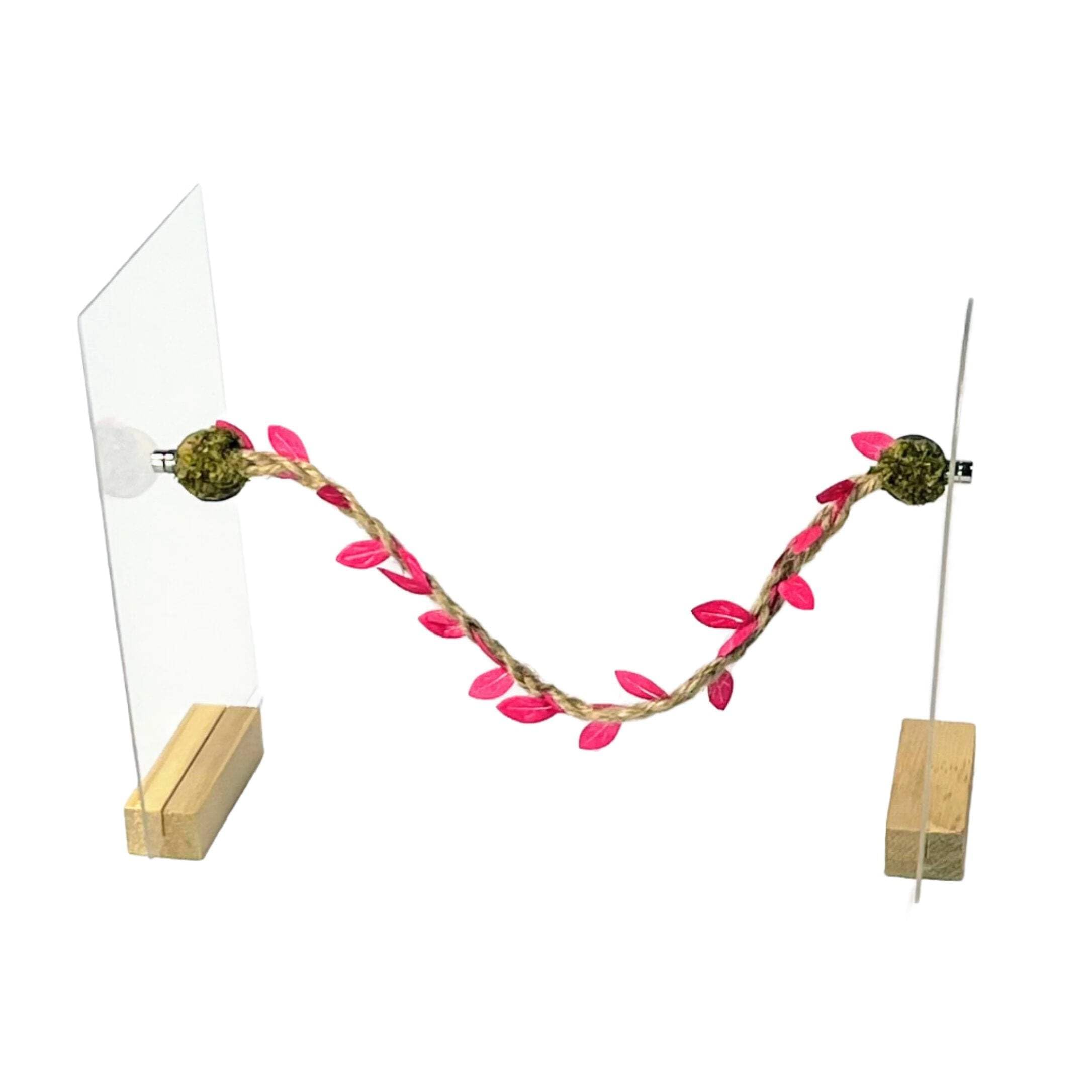 Opus Vita Jumping Spider - Rope bridges with Twine - Spider Enclosure Decor - Professionally made to cleverly attach to your Insect Enclosure Natural Twine/Green Single — view 19