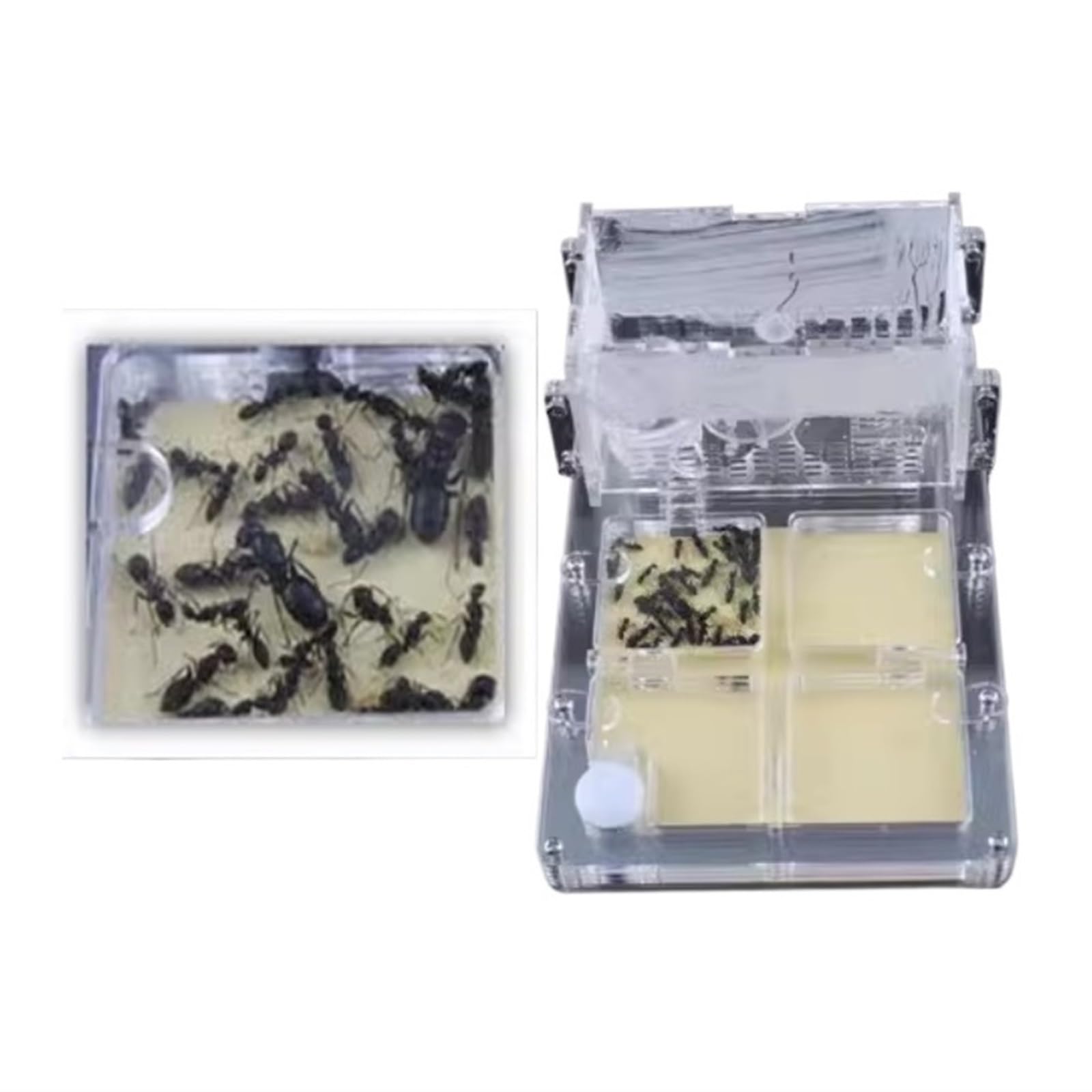 Farma Mrówek Ant Castle Akrylowa Farma Mrówek Nawilżająca Pudełko Wyświetlaczowe Habitat Gniazdo Gniazdo Terrarium(Black)