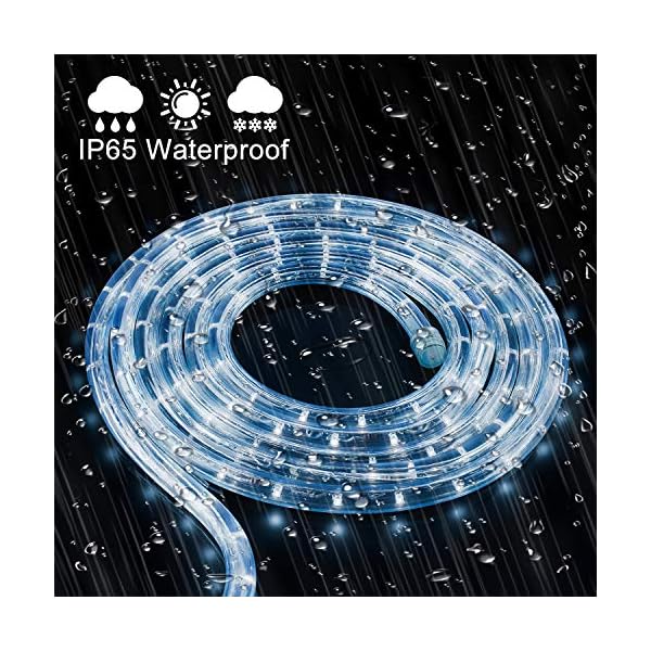 Forever Speed LED Lichterschlauch, Lichtschläuche LED für Außen IP65 Kaltweiß, Wasserfest LED Schlauch für Halloween, Garten, Weihnachten, Hochzeit,Party Beleuchtung Dekoration – Bild 7