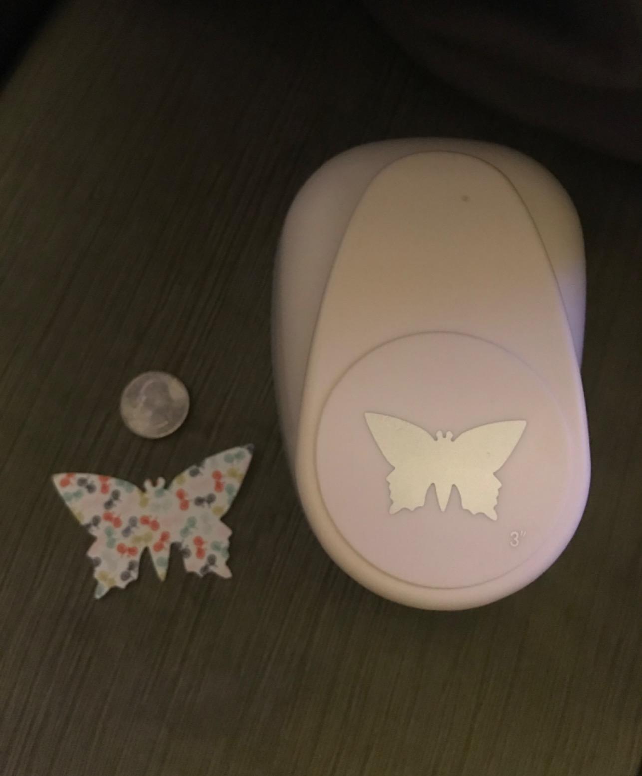 Great Butterfly Puncher