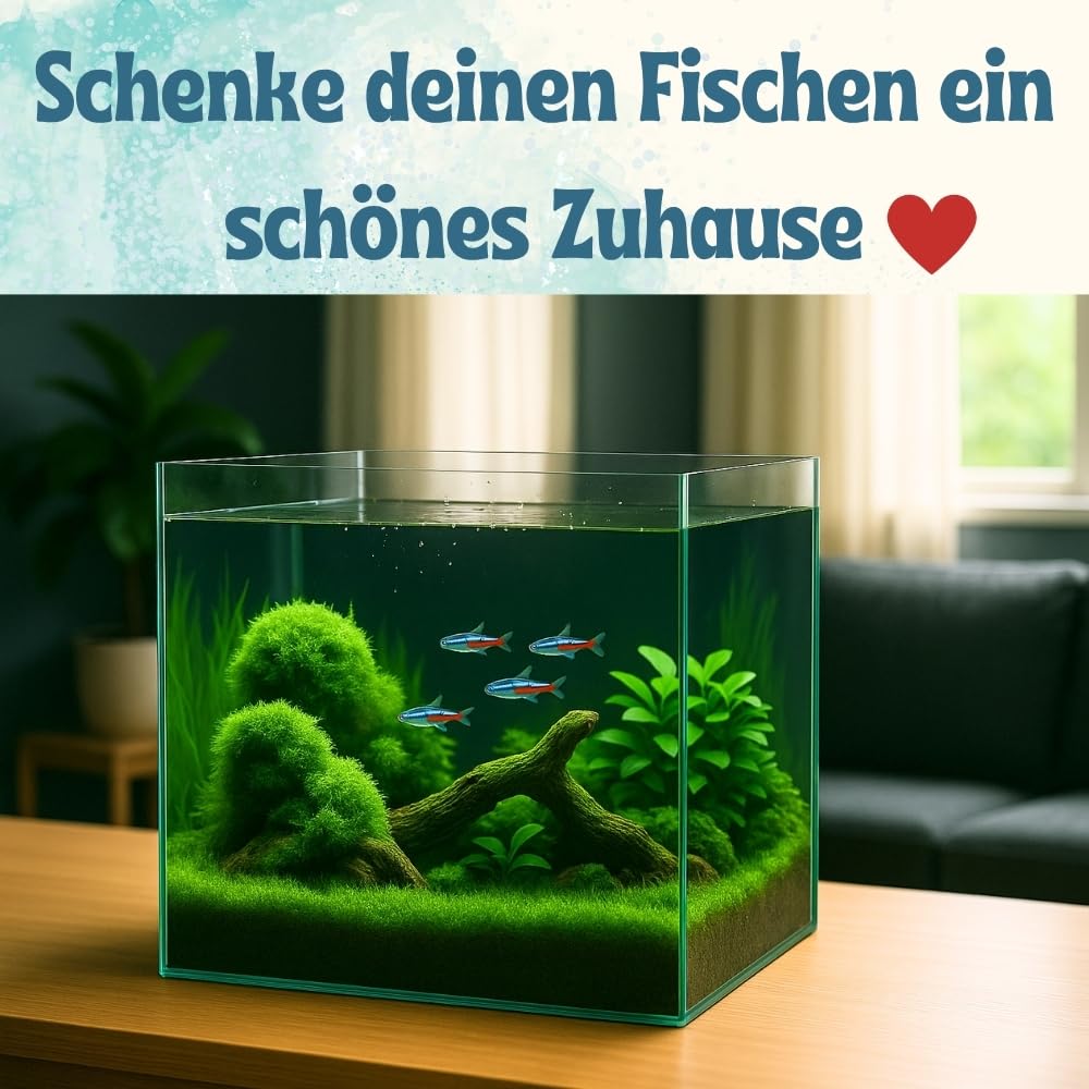 Nano Aquarium Würfel Garnelen Aquarium 35 Mini Terrarium Nagarium Terrarium Glas Aufzuchtbecken Glasbecken Glasaquarium 35x35x35 cm