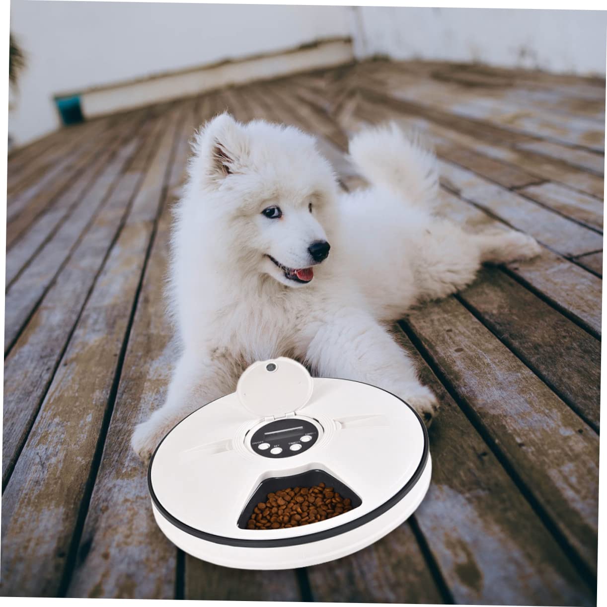 Comedero Automático Temporizado para Mascotas 6 Compartimentos | Capacidad 90g, Abs Negro, Diseño Desmontable Base Antideslizante, Fácil Limpieza y Colocación en Esquina