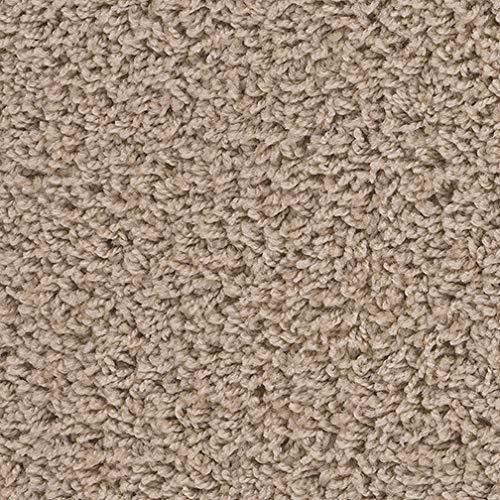 8’X10’ Taffy Apple Area Rug Carpet. 25 Oz Fha Certified. Multiple Sizes And Shapes To Choose From #TOP4
