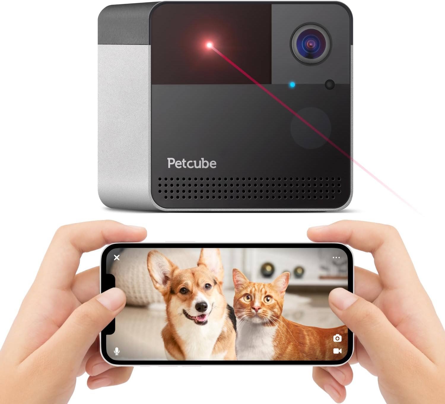 Petcube Play 2 | WLAN Haustierkamera mit Laserspielzeug für Katzen & Hunde, 10…