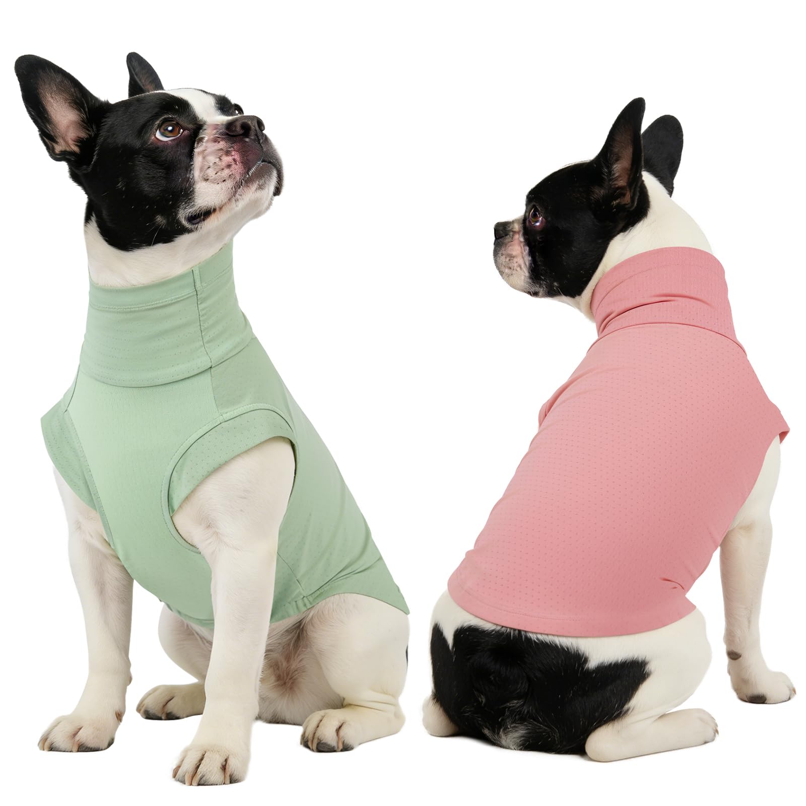 Gilet rafraîchissant pour chien grand et moyen | Lot de 2 maillots respirants vert et rose