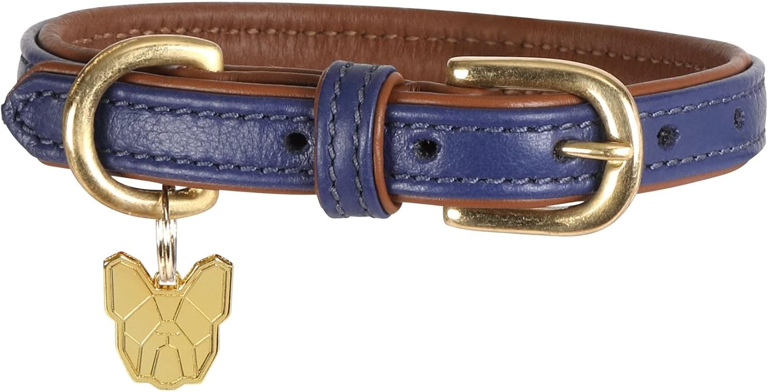 Shires Digby & Fox Padded Leather Dog Collar (Small, Black)