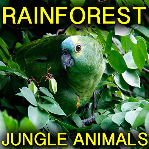 Amazon Music UnlimitedでNature Sounds RelaxのRainforest Jungle Animalsを