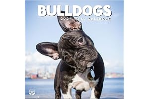 Charming Bulldog 2024 Wall Calendar