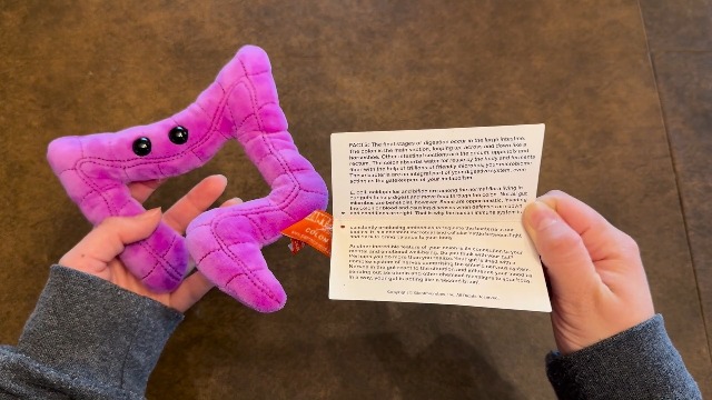 Amazon.com: GIANT MICROBES Colon Plush, Funny Colonoscopy Gifts