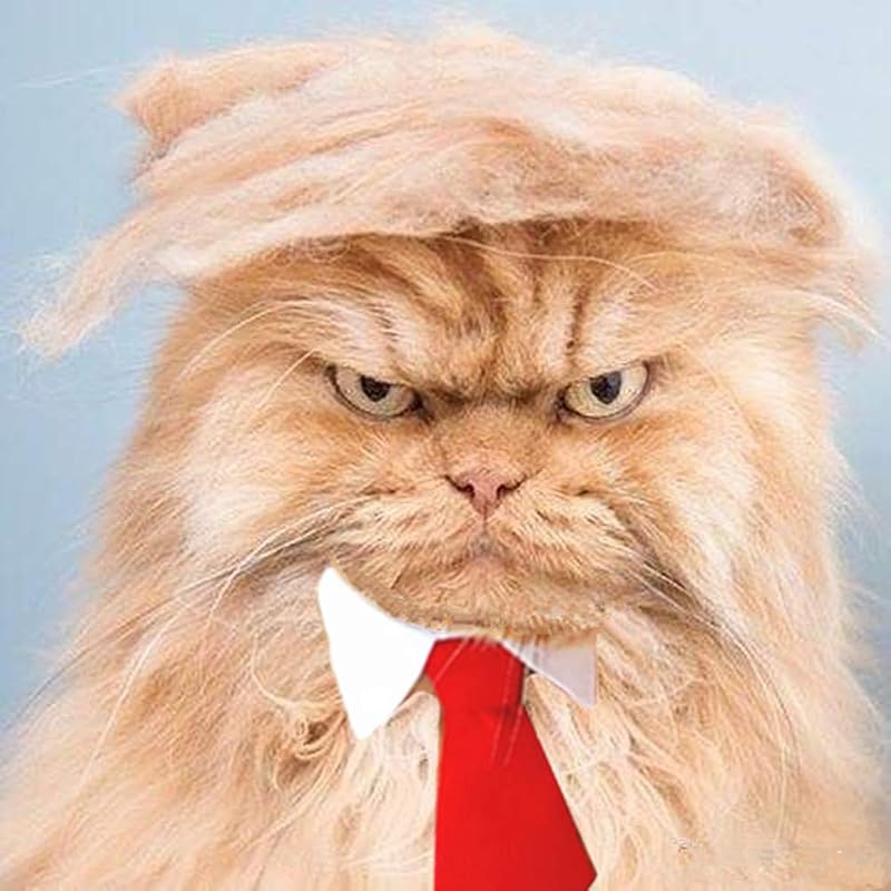 Peluca para perro estilo Trump, ropa para perro con cuello y corbata, ropa para la cabeza, juguete para Halloween, Navidad, fiestas, festivales (marrón claro con corbata)