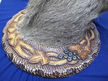 6ADM8 蝦夷鹿 ハンティングトロフィー 剥製 壁掛け インテリア 芸術 6ADM8 蝦夷鹿 ハンティングトロフィー 剥製 壁掛け インテリア 芸術