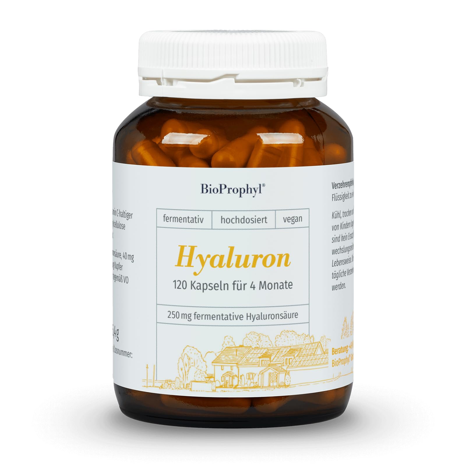 Hyaluronsäure mit 250 mg Hyaluronsäure, Kupfer und Vitamin C für Knochen, Knorpel, Haut und Gelenke - 120 pflanzliche Kapseln für 4 Monate