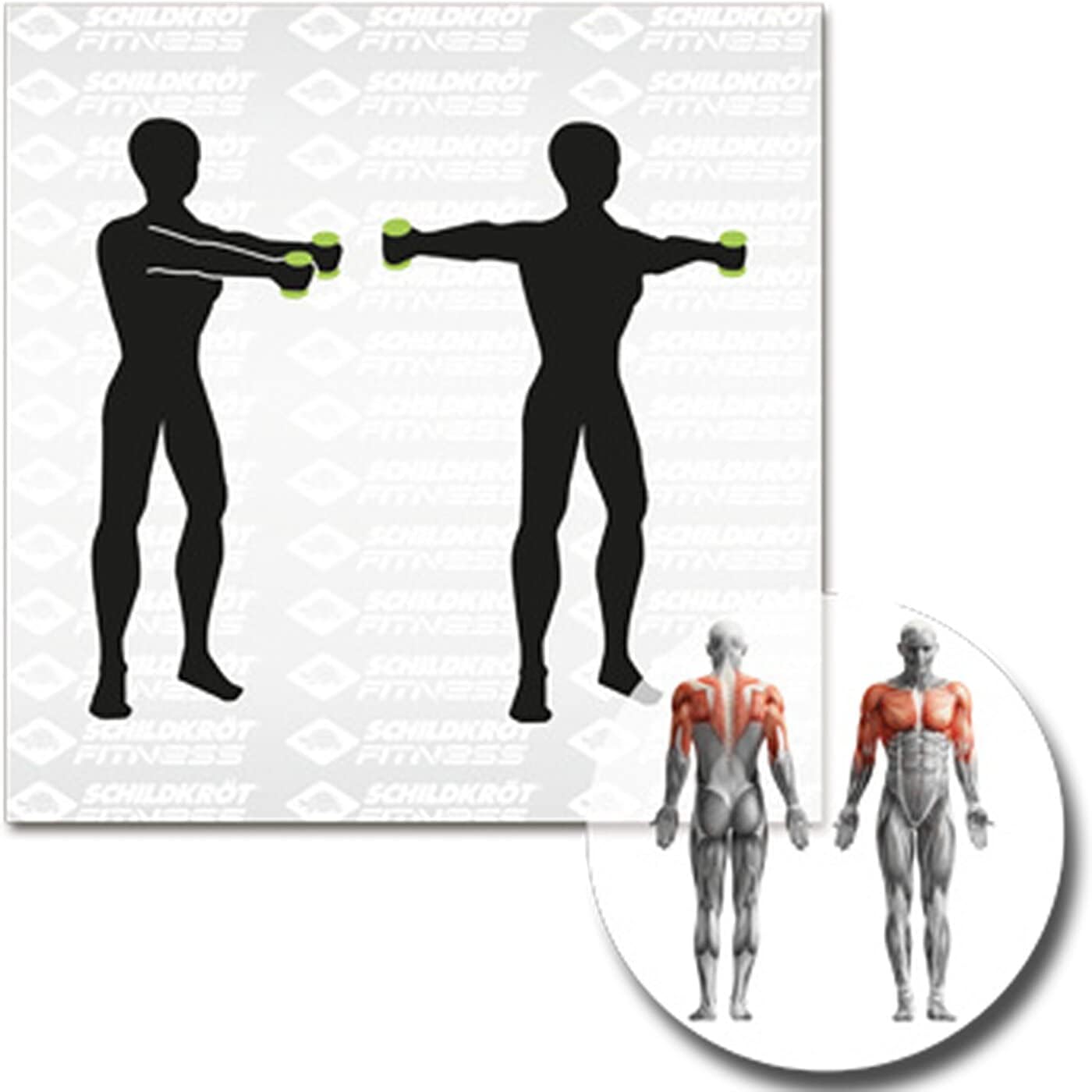 Schildkröt Vinyl Hantel Sets, in verschiedenen Gewichten wählbar, 0,5kg - 3,0kg, in den Farben: Grün & Anthrazit, in 4-Farb Karton 4 617tn0wNIML. AC SL1400