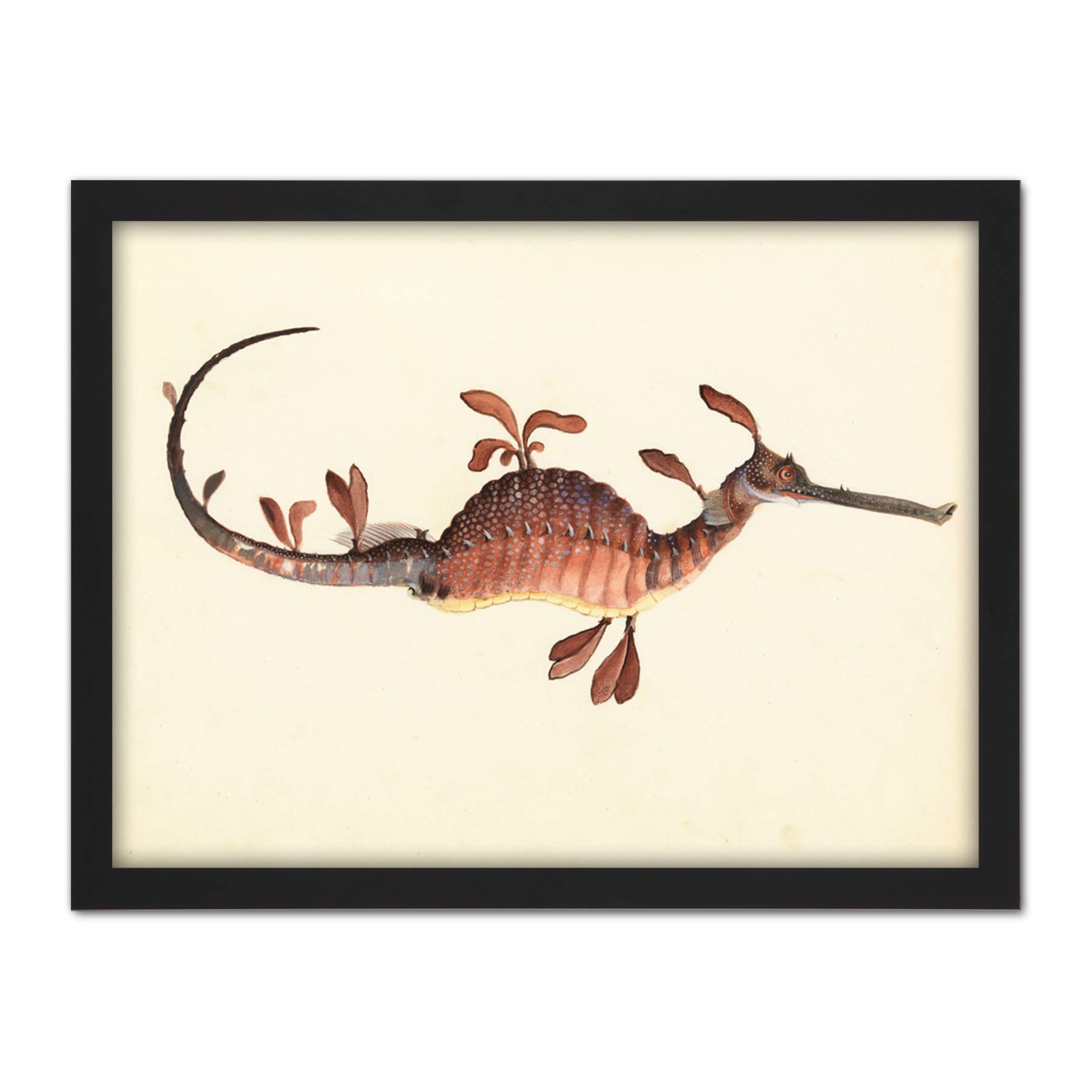 Artery8 Gould Weedy Seadragon Marine Book Illustration Artwork Framed Wall Art Print 18X24 Inch
