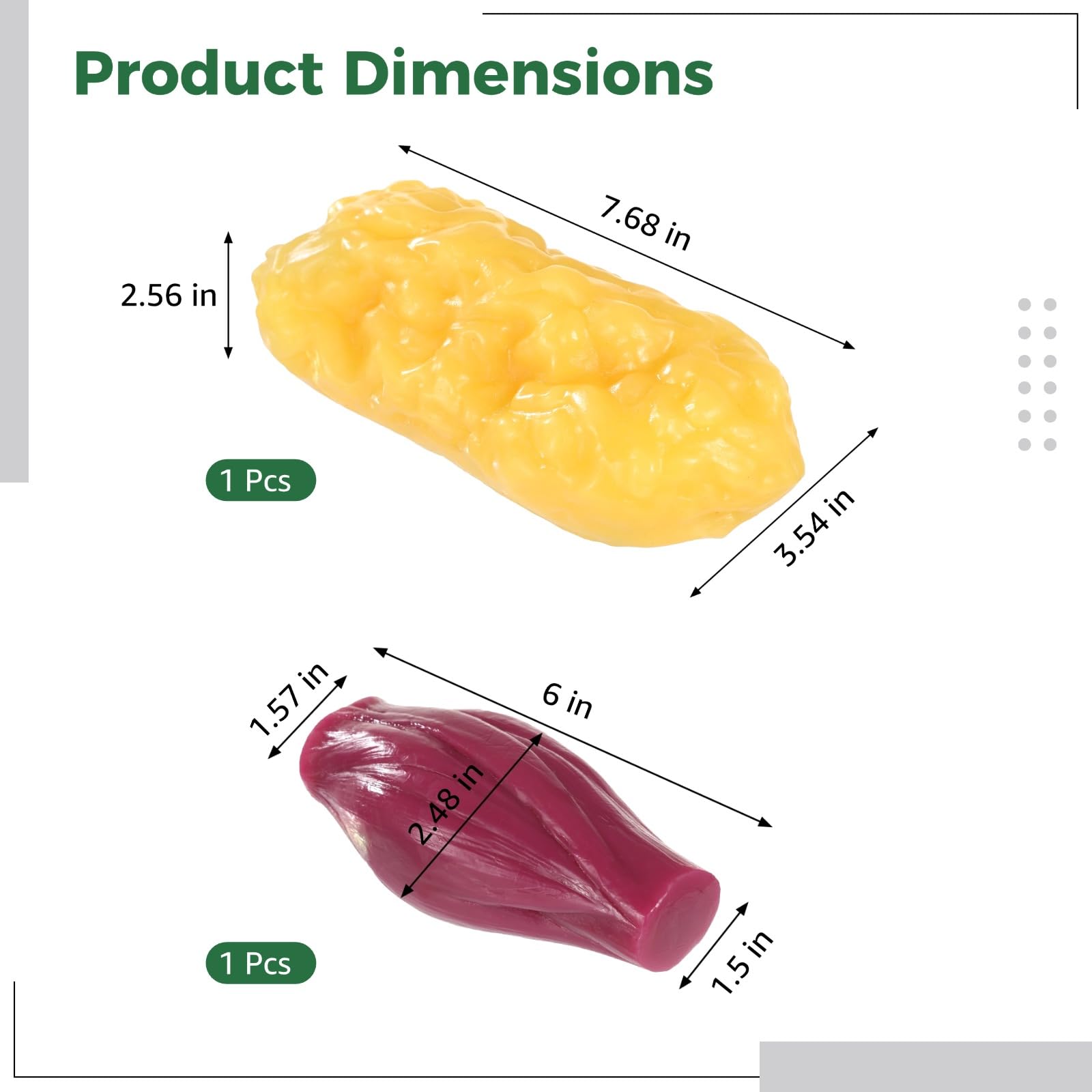 Modelo ultra realista de anatomía muscular y grasa humana de 2.2 libras