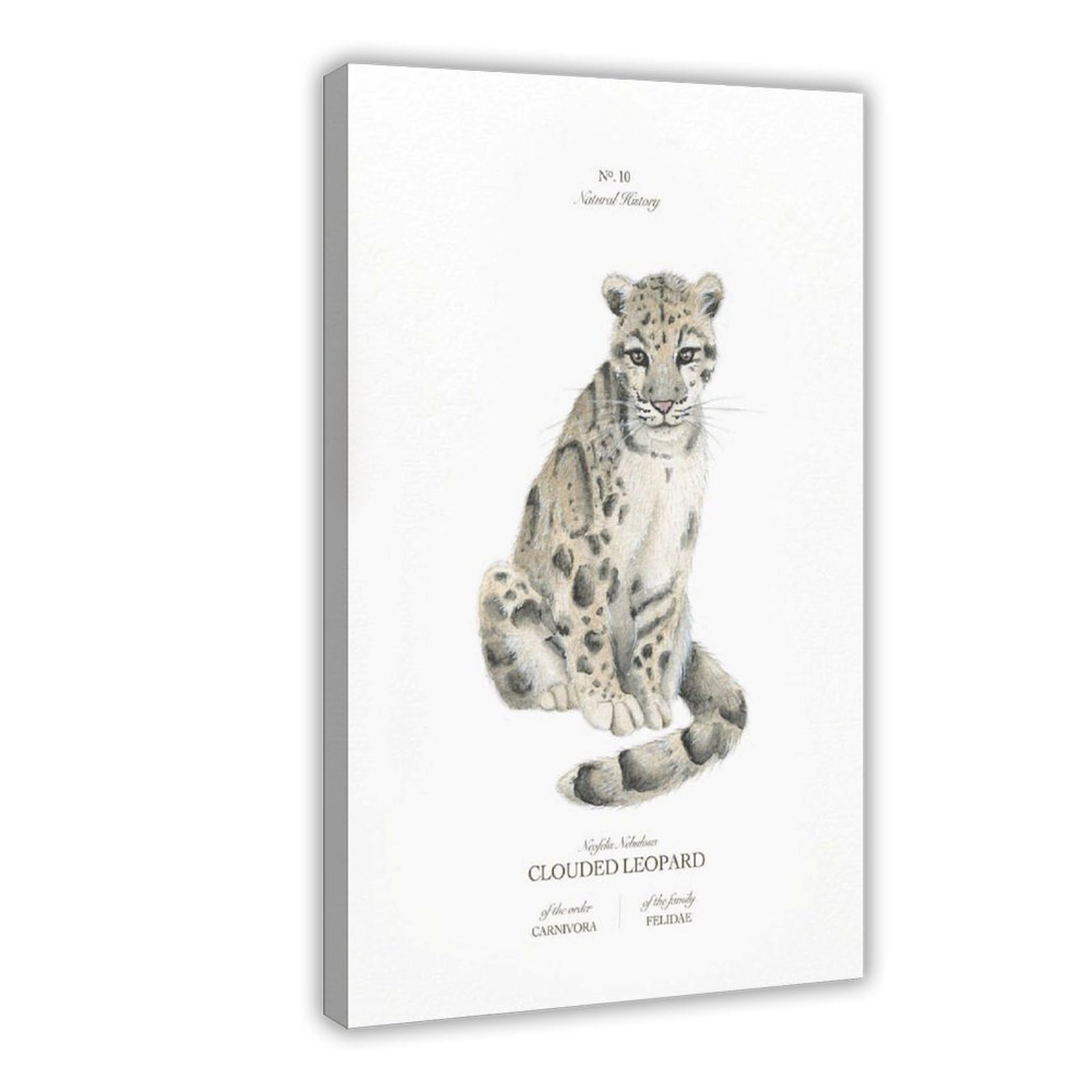 Bareronor Clouded Leopard Poster Canvas Poster Bedroom Decor Landscape Office Room Decor Gift 24" L X 36" W