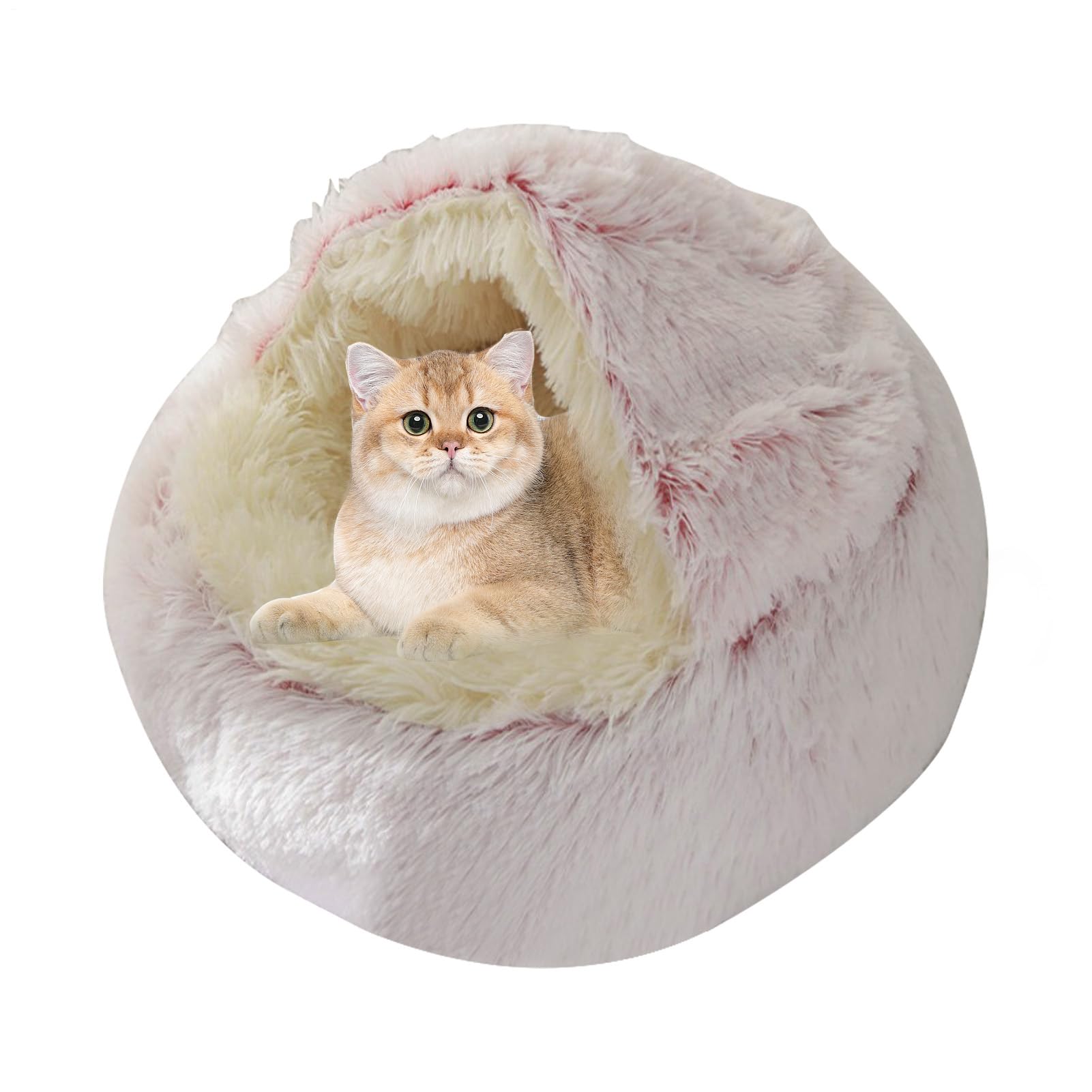Cuccia per gatti | per gatti chiuso e calmante per animali di | piccola taglia – Cuccia per gatti lavabile in lavatrice soffice cuccia per gatti rimovibile per cani di grossa taglia, gattin