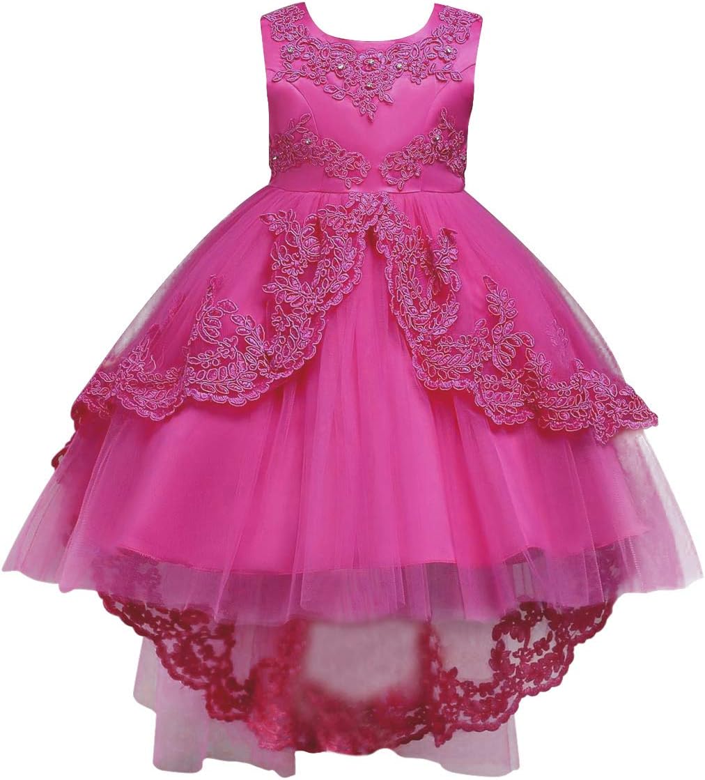 Flower Girls Vintage Overlay Lace Beaded Rhinestone Wedding Tulle Dress Hi Low Communion Party Dance Tutu Gown with Train