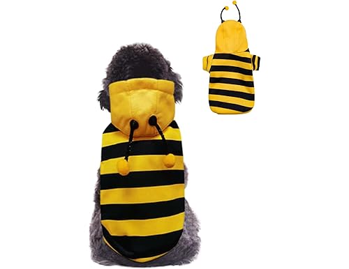 10 Best Bumble Bee Dog Costumes of [Current Year]: Buzz-Worthy Choices