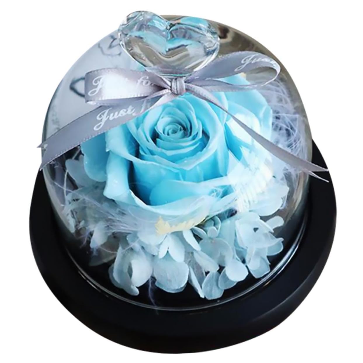 Fleur immortelle sous cloche un présent romantique de Saint-Valentin
