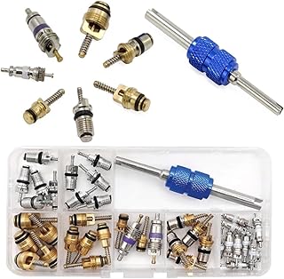 40Pack Car Air Conditioner Valve Core Kit for Most Vehicles with R134a AC systems
