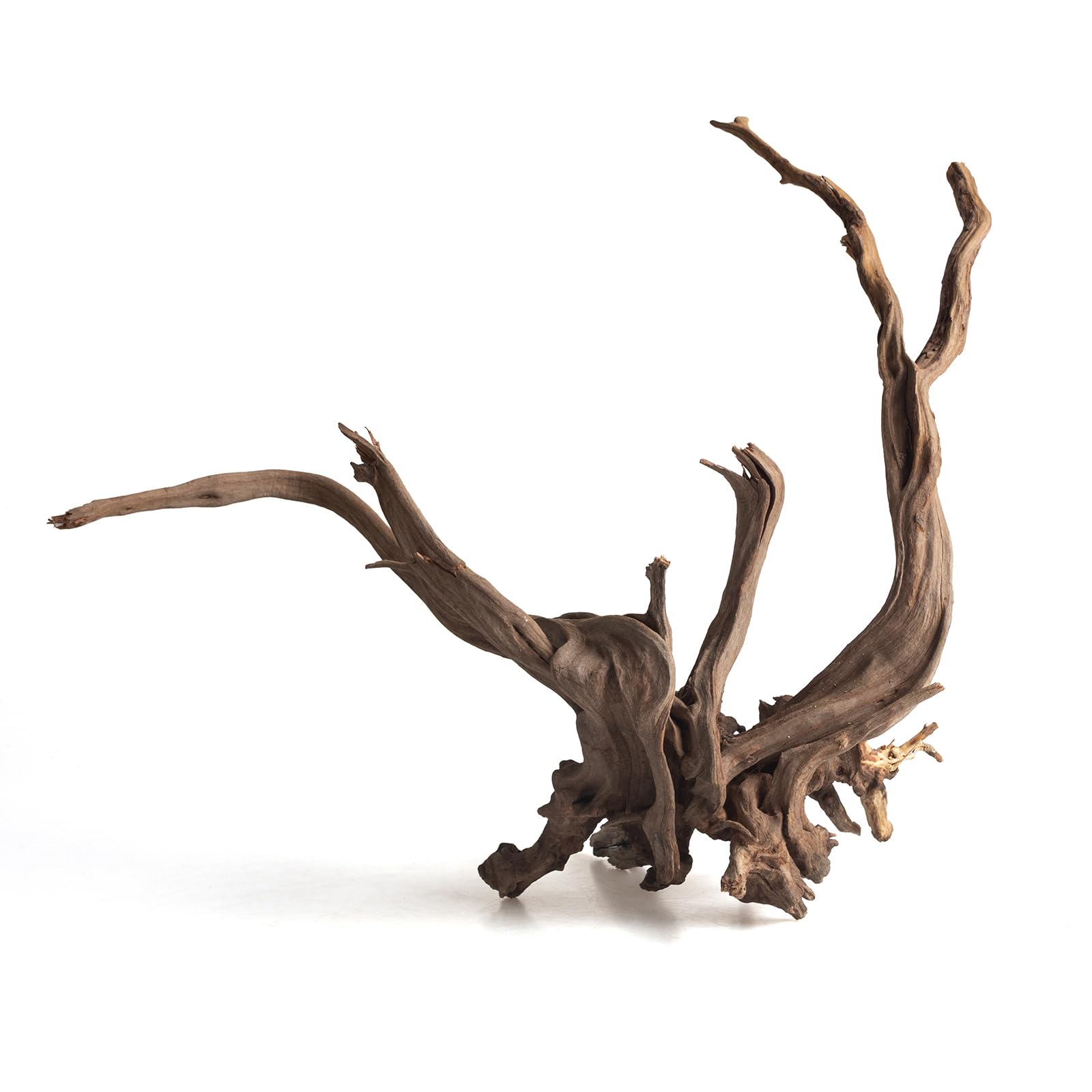 emours Bois flotté naturel pour aquarium, bois flotté unique pour décoration d'aquarium, terrarium et reptile, 1 pièce (20-30 cm)