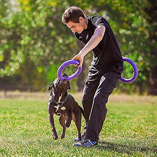 Ferplast Hunde Spielzeug, Hundetraining Ring zum Kauen, zum Laufen, Springen, Schießen, Ungiftig, Schwimmend, Puller Standard, Hundespielzeug für mittelgroße und große Hunde, Set mit 2 Fitness Ringen