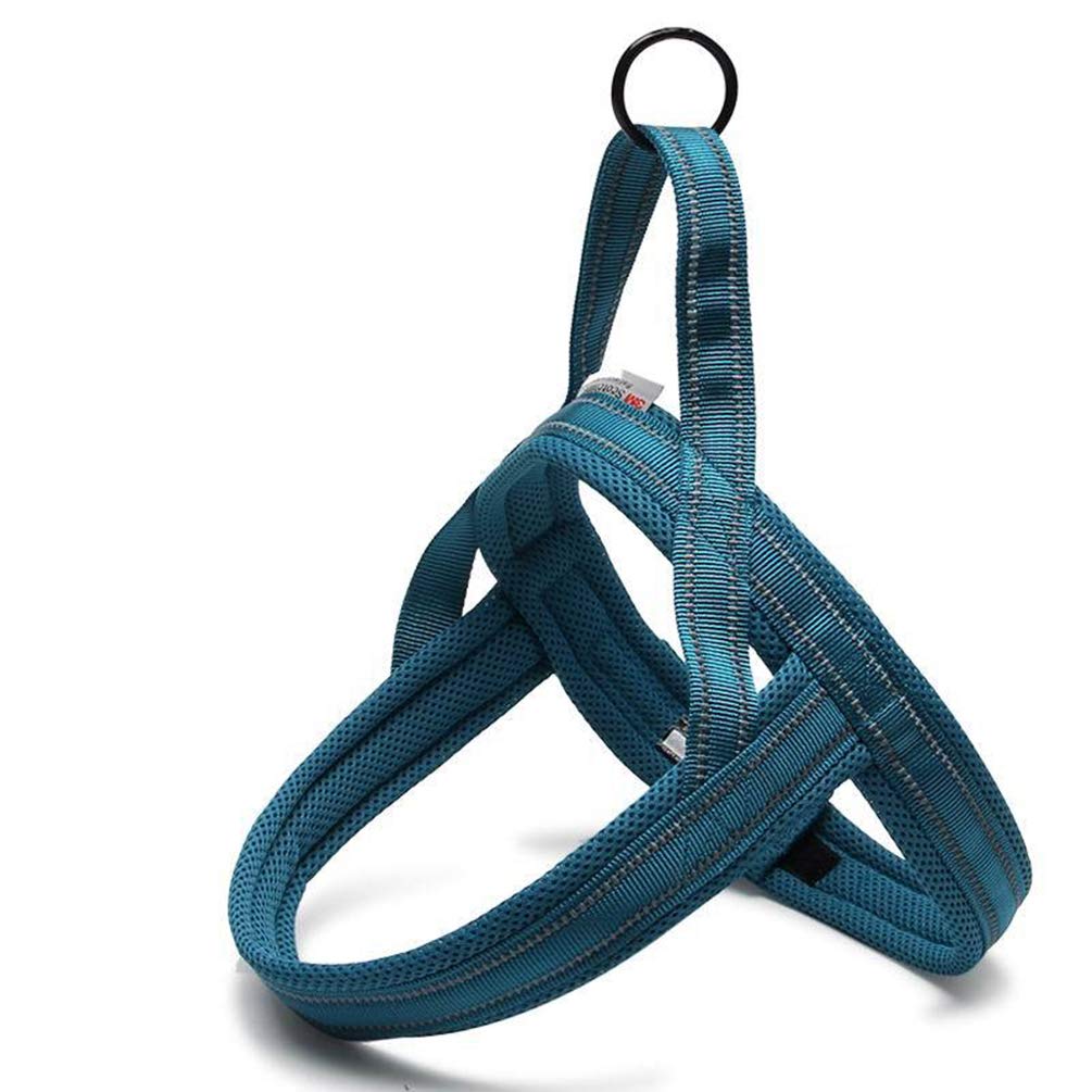 WINHYEPET Dog Harness Nylon Ribbon Comfortable Inner(Blue,L)