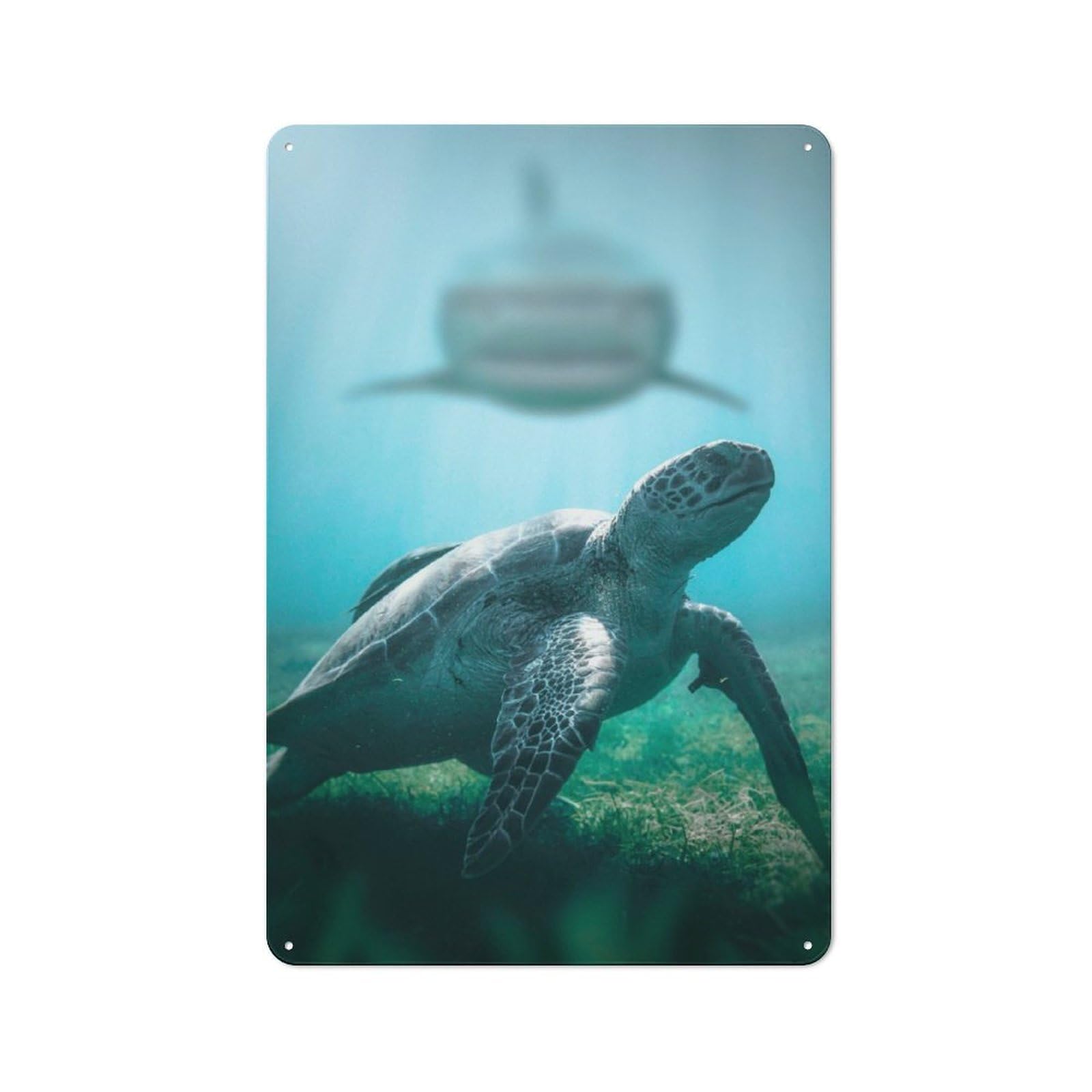 Junmoney Shark Meets Turtle Tin Wall Plaque 30X20cm With For Home Office Or Studio, Gift Idea At Christmas For Creative Workspace Decorators