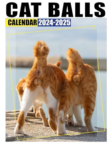 Cat Balls Calendar 2024-2025: 24 Months Calendar Jan 2024 to December 2025, 17" x 22" Opened, Thick &amp; Sturdy Paper, Great Gift For Organizing &amp; Planning, US Holidays