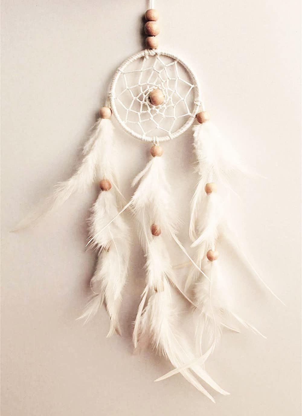 Dream Catcher Wall Hangings, Crafts, Home Décor, Balcony, Garden Nylon Dream Catcher (10.6 inch, White)-image-19