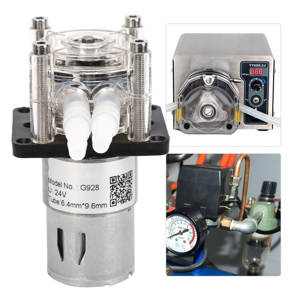 Pompa Peristaltica a Grande Flusso 12V/24V G928 Pompa Dosatrice da 500 Ml/min Pompa Peristaltica per Laboratorio Acquario (24V)