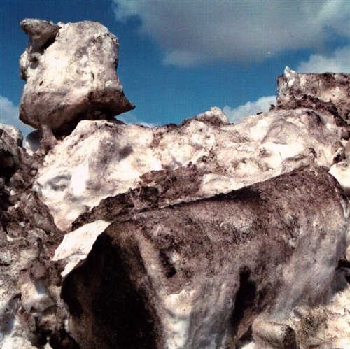 Cover of Parking Lot Music by E Vax (2001-02-27)