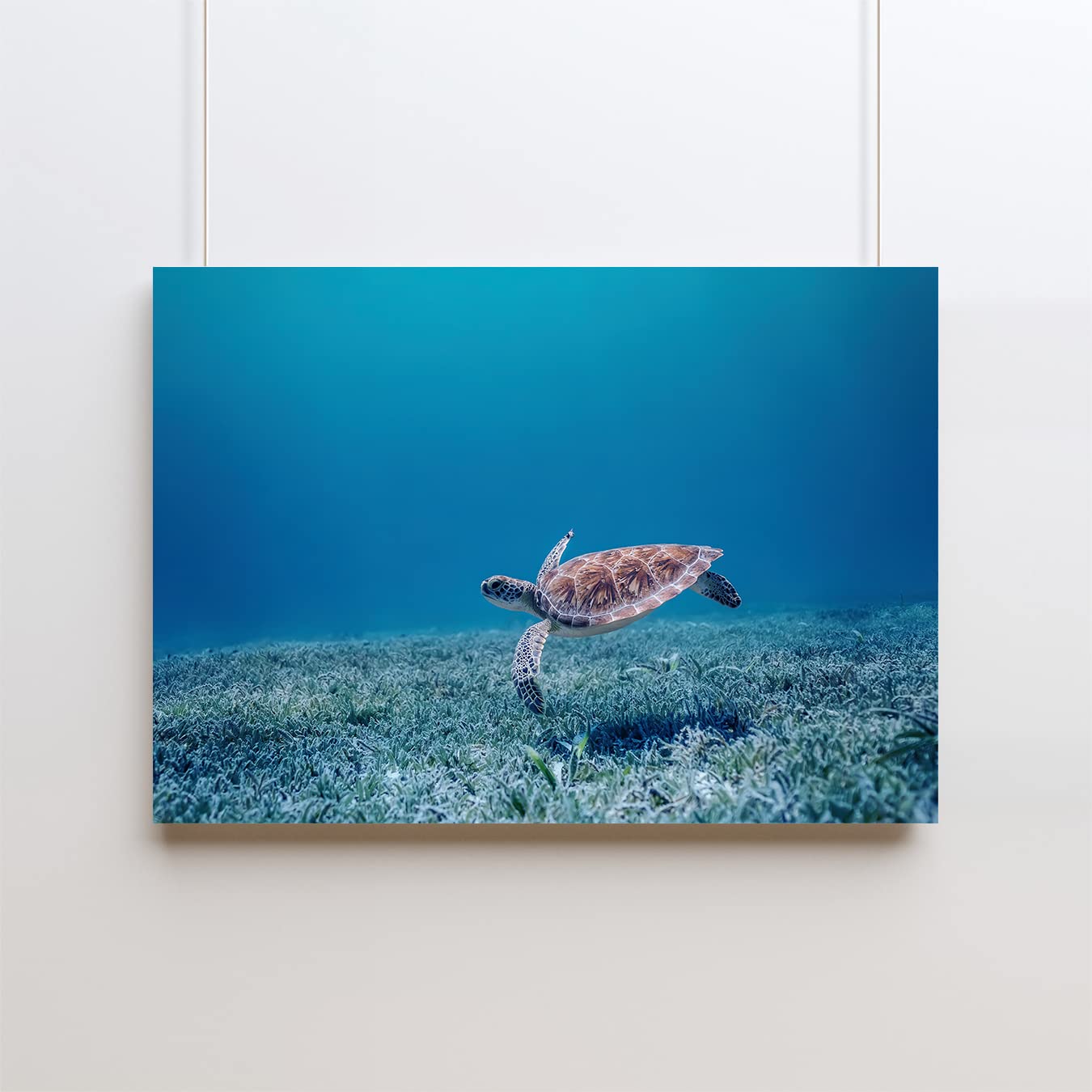 油絵 絵画 【海森のウミガメ】 m58617163423_1.jpg?1688736774