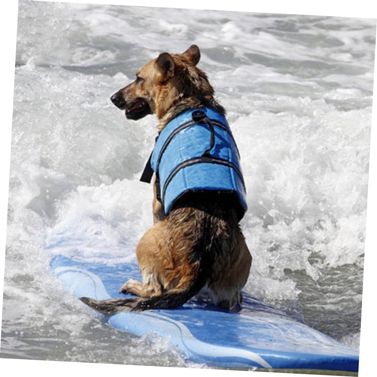 VANZACK Pet Life Vest for Dogs Reflective Adjustable and Lightweight for Training Swimming