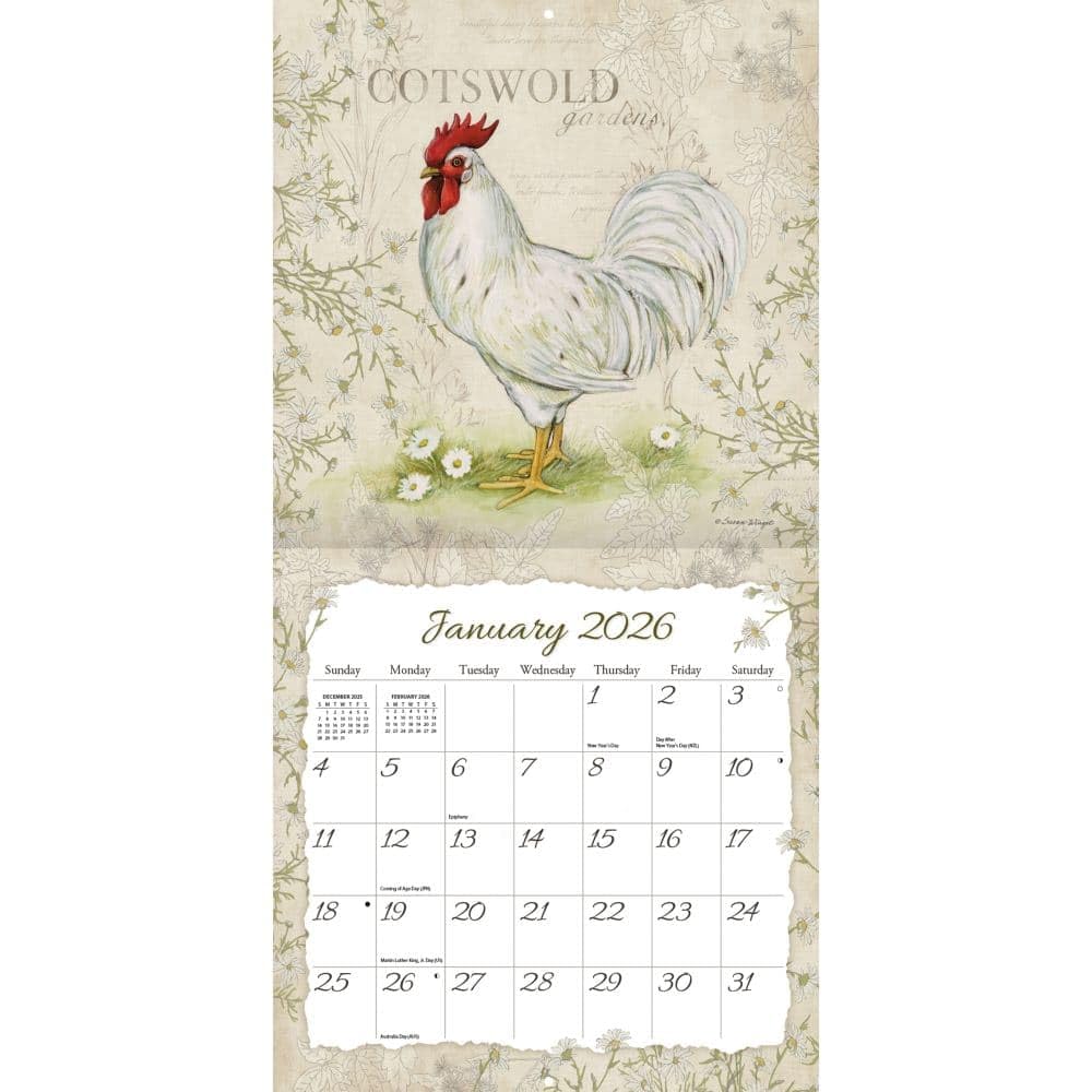 WSBL Calendario da parete 2026 Galli 12X12 (26997001691)