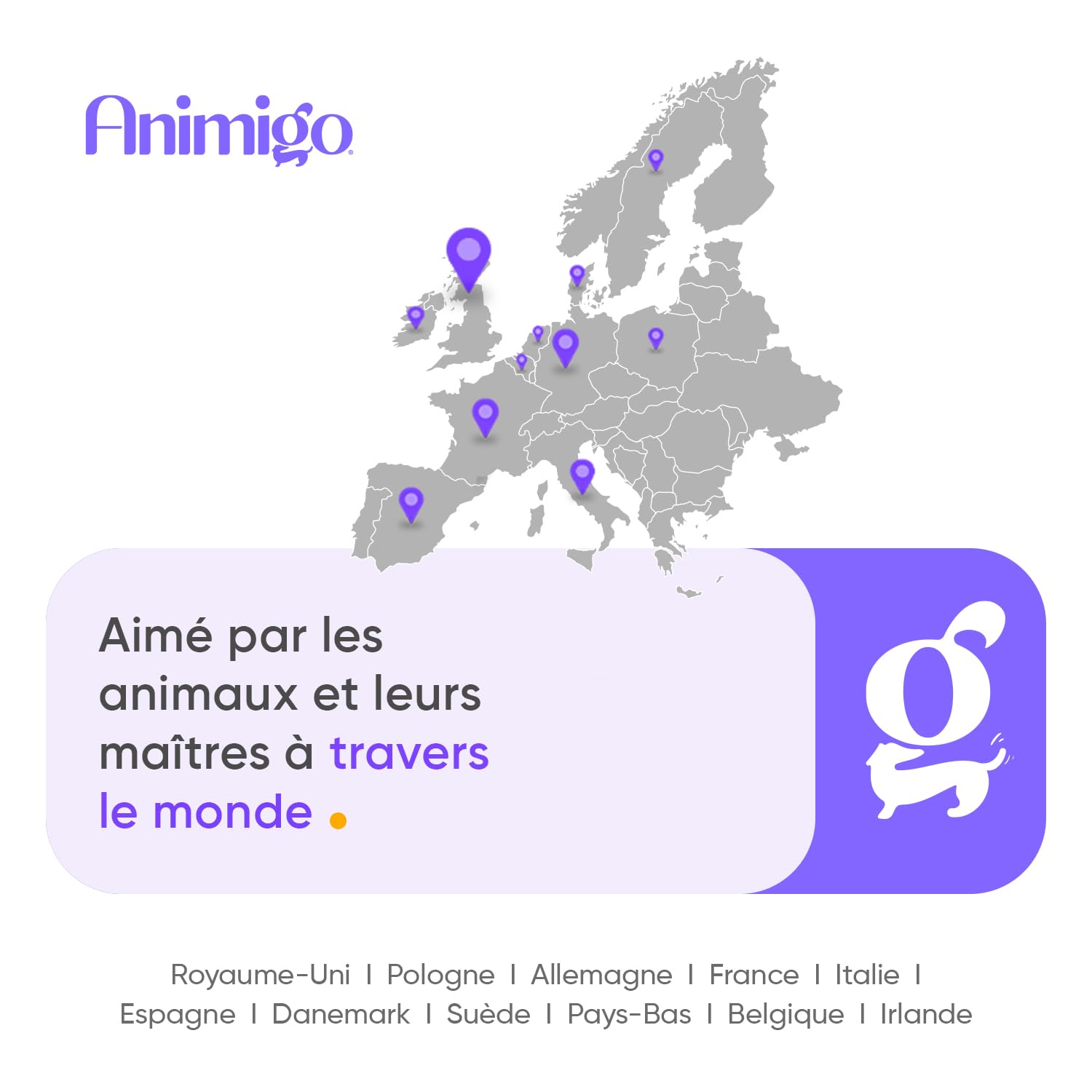 Animigo Vitamine pour Chien 18-en-1, Vitamine A B C D E, Fer, Zinc, Calcium, 120 Friandises pour Chien, Huile de Saumon, Graines de Lin - Friandises pour Toutes Tailles & Races, Fabriqué dans l'UE