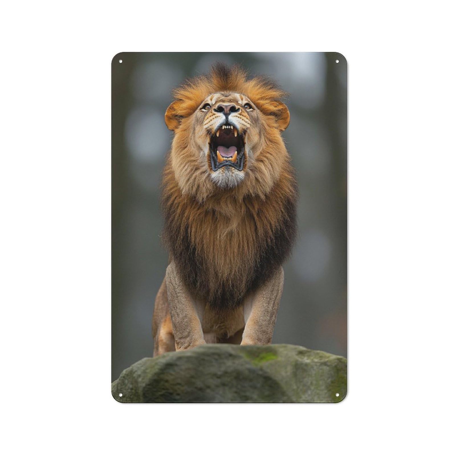 Junmoney Style-24 Roaring Lion Portrait Printed Metal Sign 30X20cm For Café Or Home Bar, For Kitchen And Home Bar Decor, For Cafés, Pubs And Restaurants