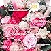 Flowers for Delivery Preserved Flower Bouquet Forever Fresh Flowers Birthday Gifts for Women Mom Grandma Real Eternal Roses Valentines Day Rose Gifts for Her Girlfriend Wife Anniversary Romantic Gift