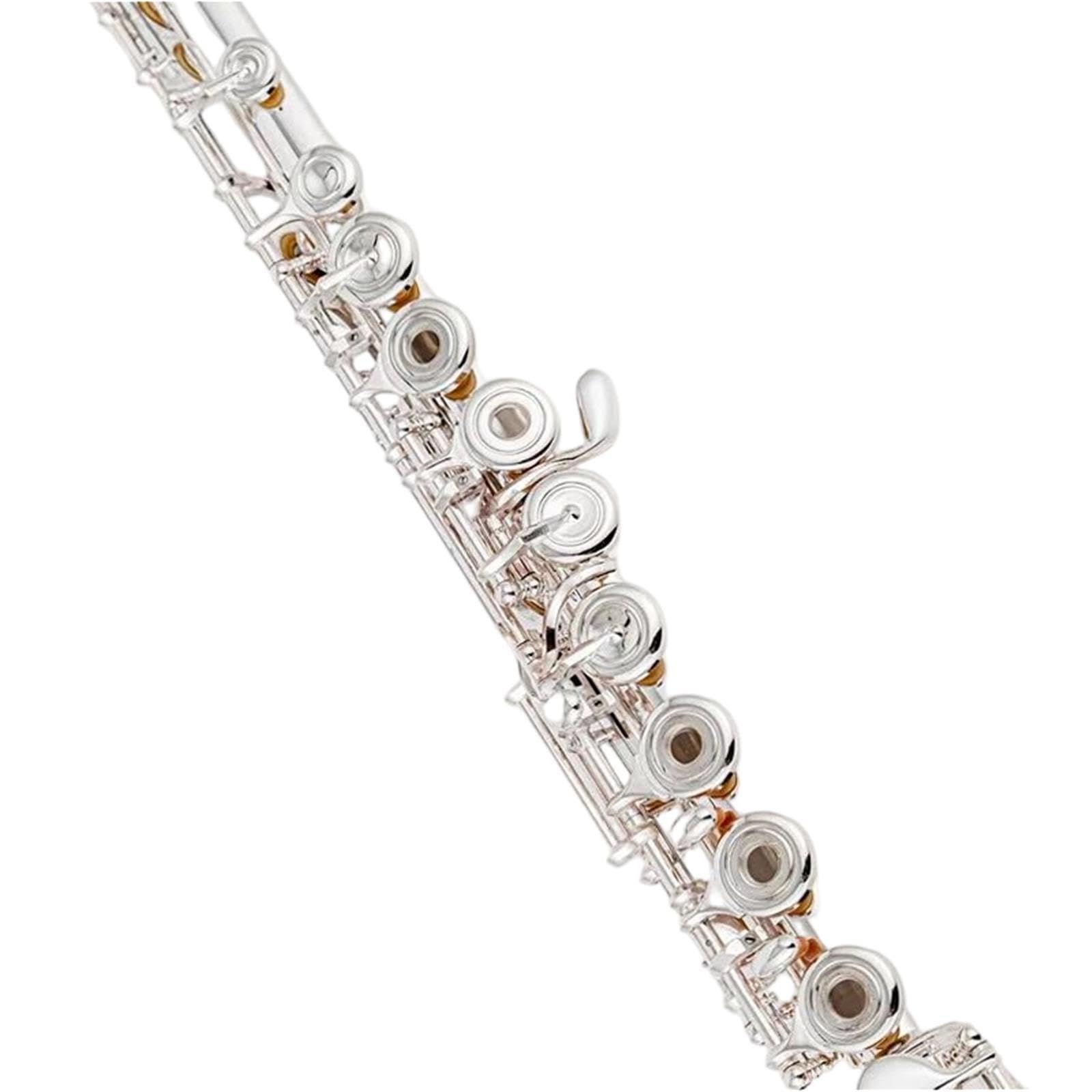 Flute Flauta C profesional