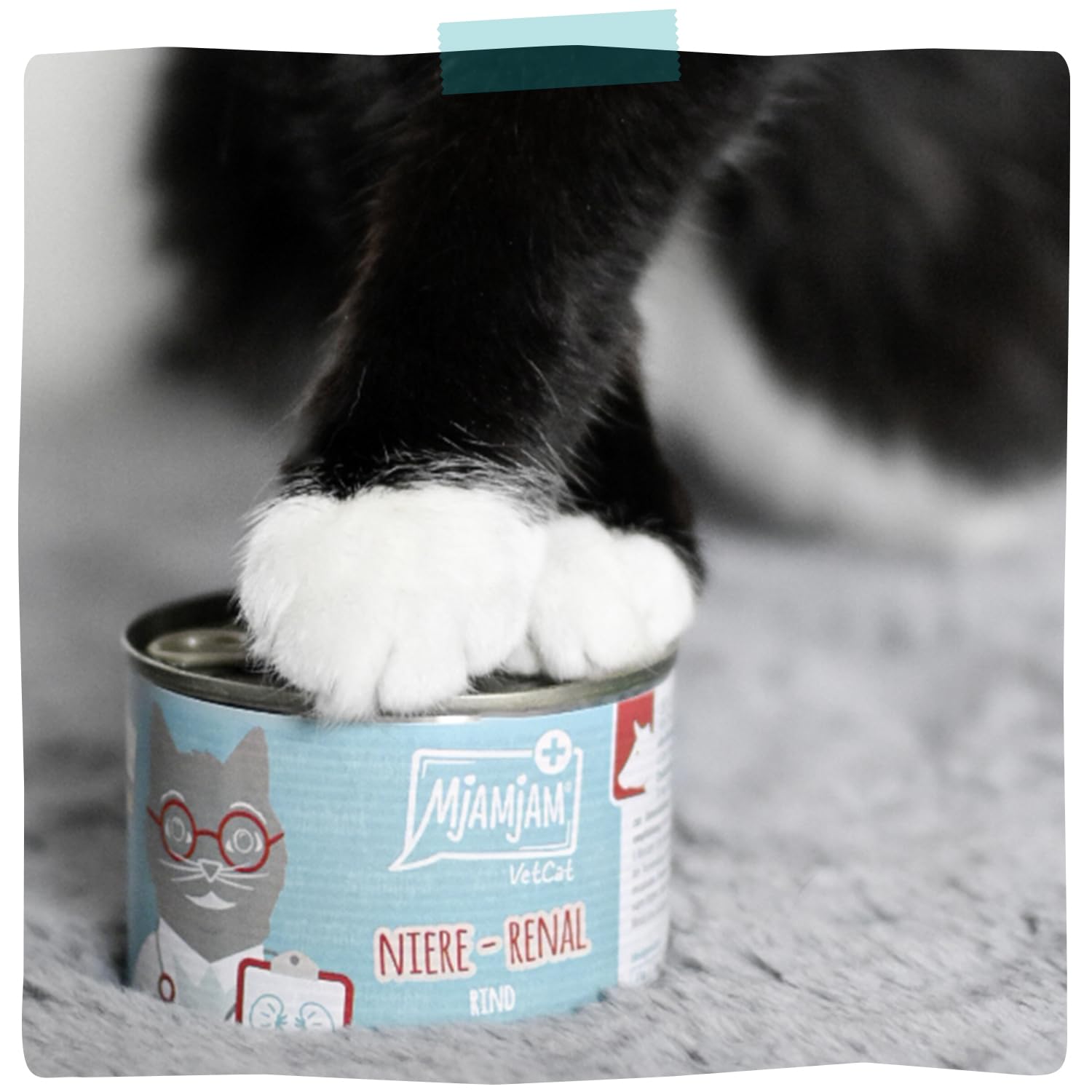 MjAMjAM VetCat - Karma mokra premium dla kotów - Diet - Kidney - Renal - Turkey, 6 opakowań (6 x 200g), bezzbożowa