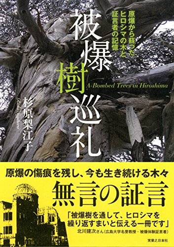 中古】 古代ケルト聖なる樹の教え/実業之日本社/杉原梨江子
