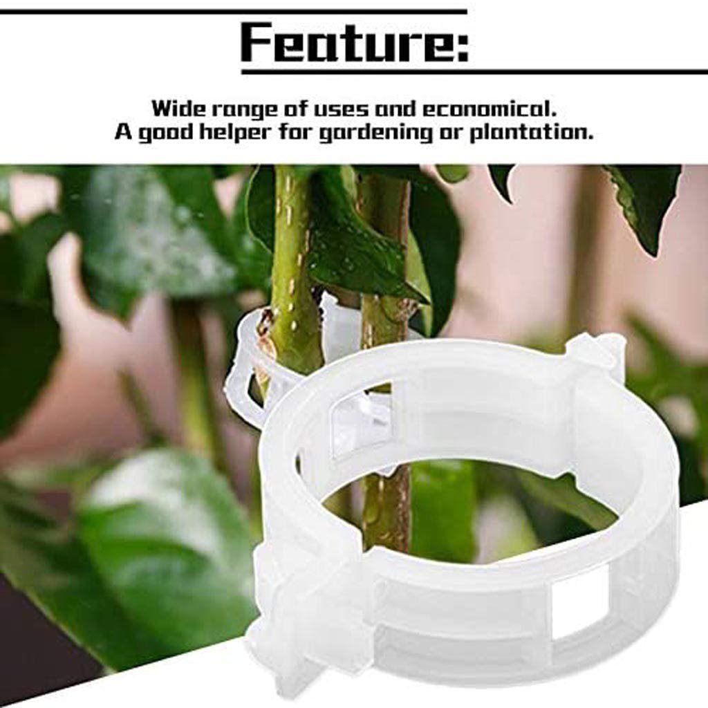 150 Pflanzenclips Aus Kunststoff – 7,6 Cm, Für Tomaten, Weinreben & Kletterpflanzen (transparent, Belüftet)