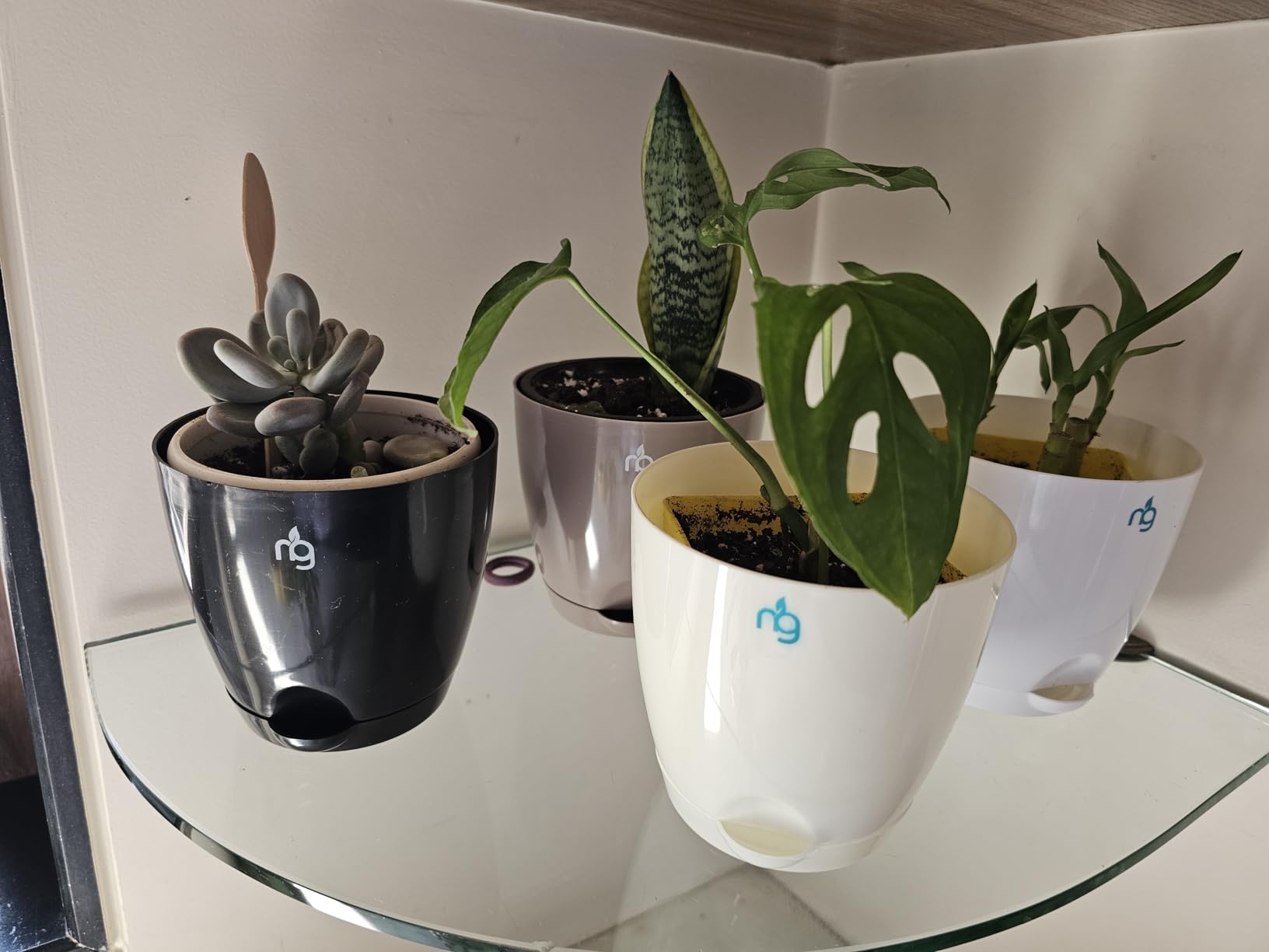 Customer Image