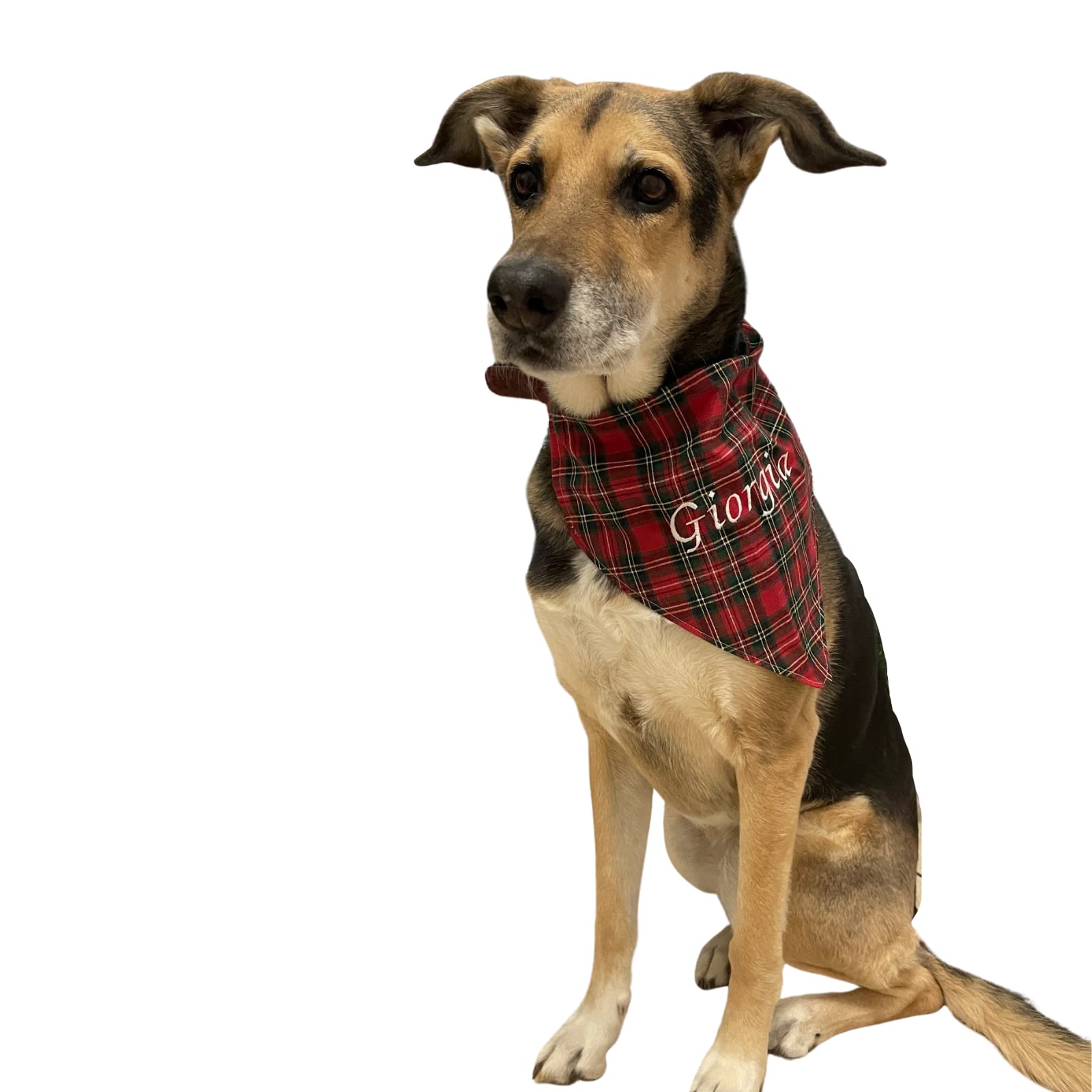 Bandana per cani Personalizzata; Bandana Cani; Amici a quattro zampe; Accessori per cani e gatti